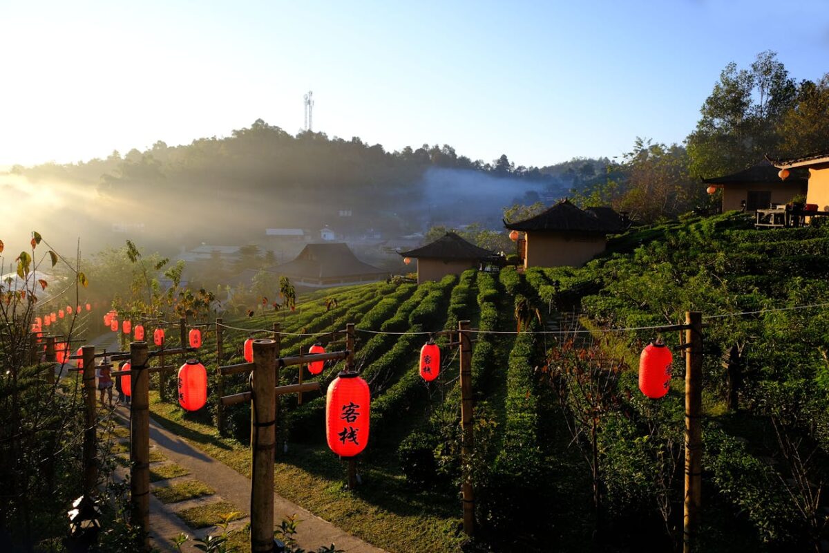 chiang mai to pai